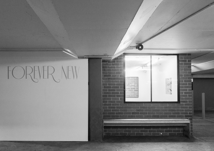 Marilyn Schneider, Forever New , 2014, Laser cut vinyl lettering, partition wall - MDF, pine, screws. 