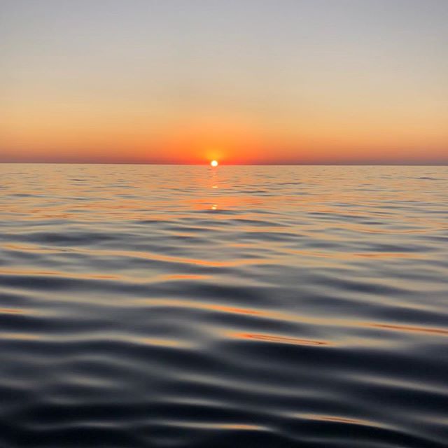 Coucher du soleil de fou ce soir avec les dauphins 😜#aleaurando #corsica #fun #snorkeling #vacancesenfamille #aperodinatoire #holidays #dauphins #easybreath #bateau #ilessanguinaires