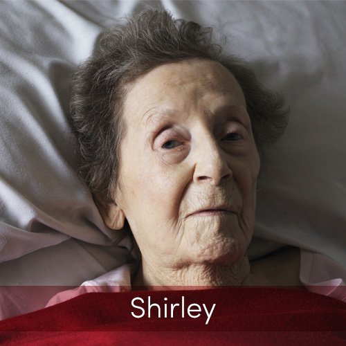 Shirley Stories Graphic.jpg