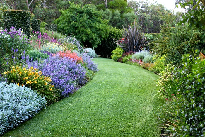 Garden vneyard.jpg