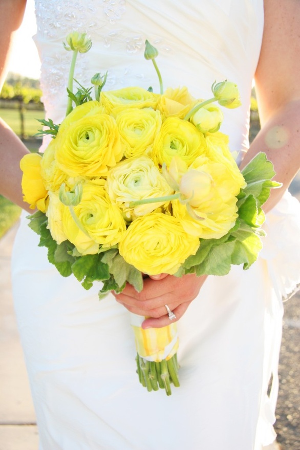 Ranunculus