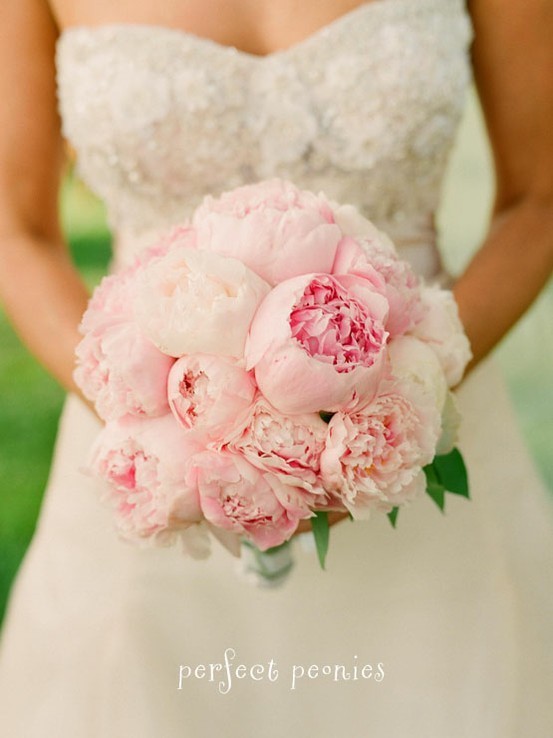 Peonies