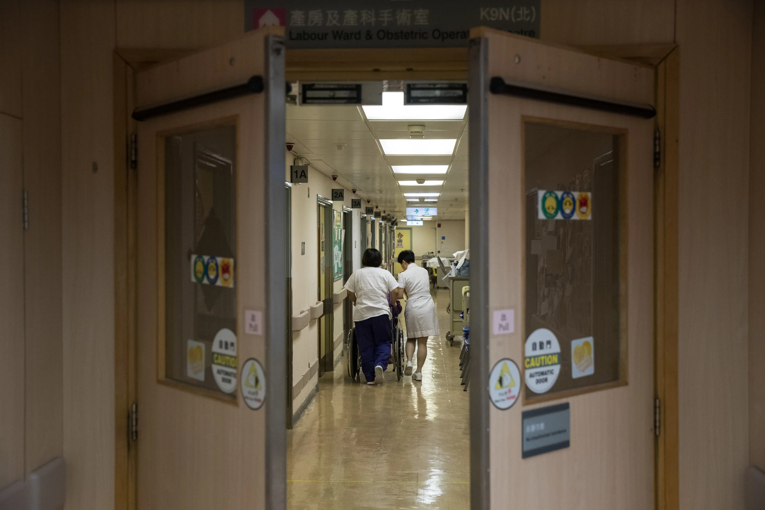 Birth of Theodore 智樂的誕生