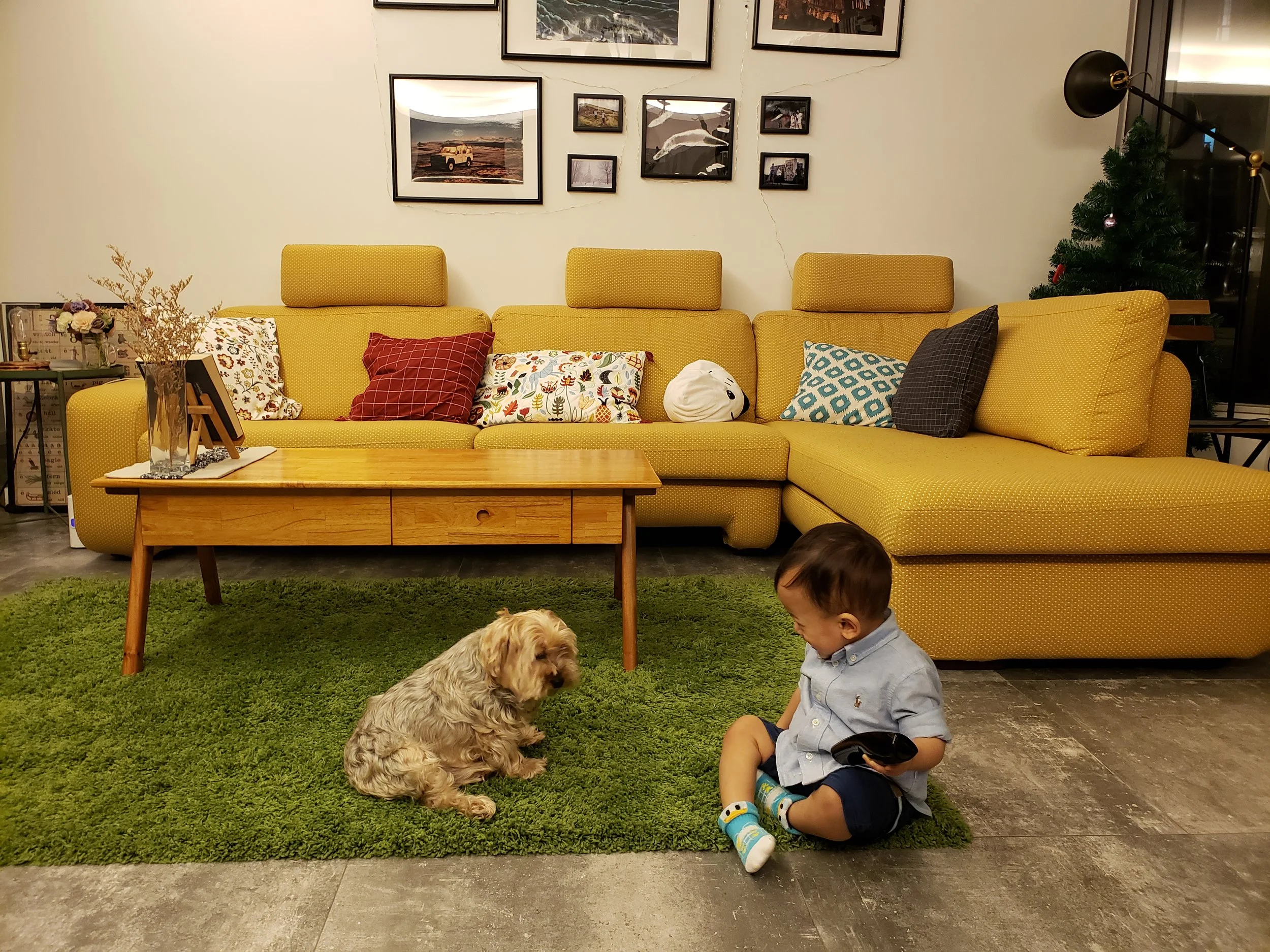 Play Date With Xiǎo Dīng (小丁)