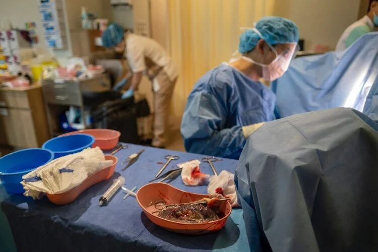 Adjustments (6).jpeg