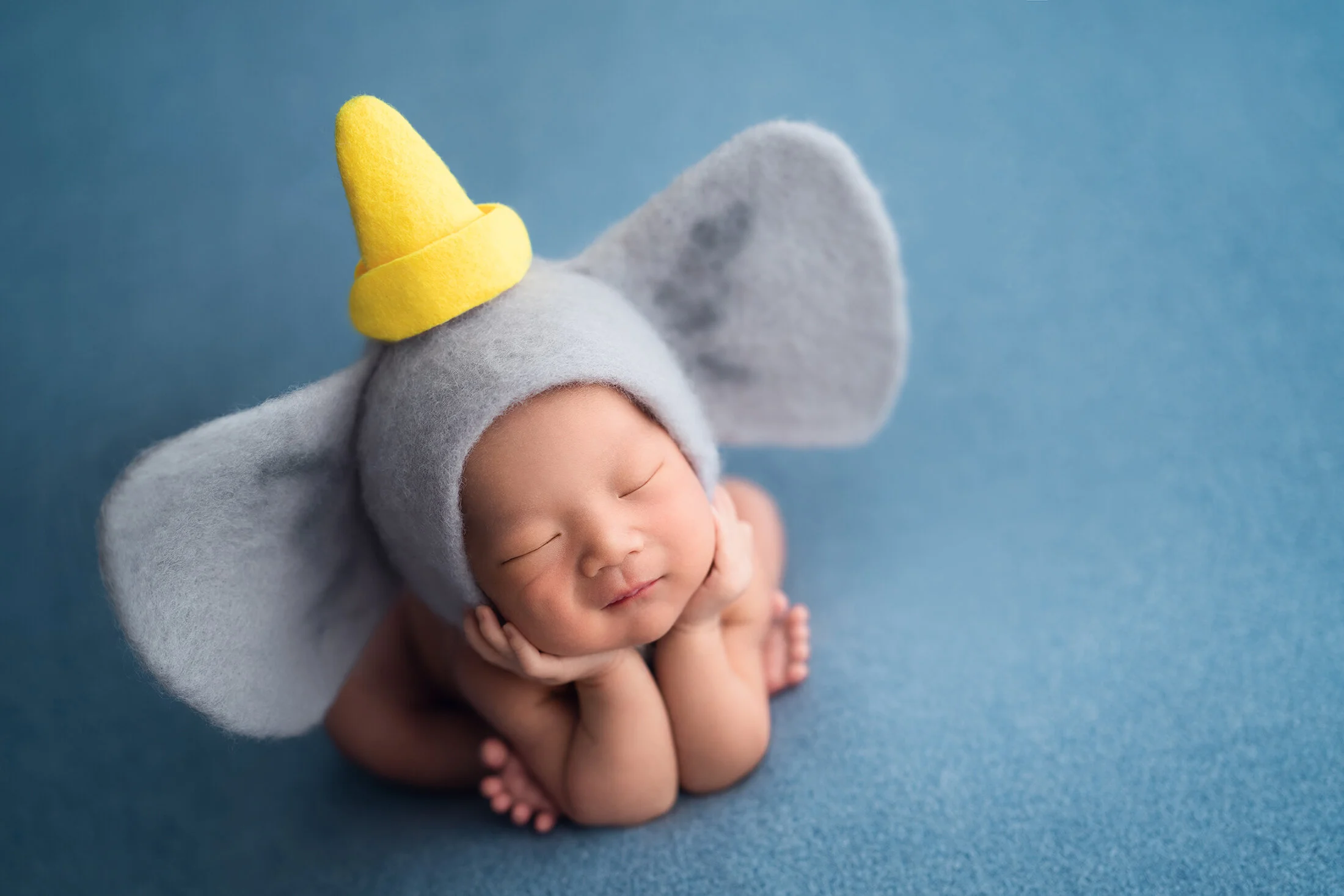 Asher's Baby Photo Shoot