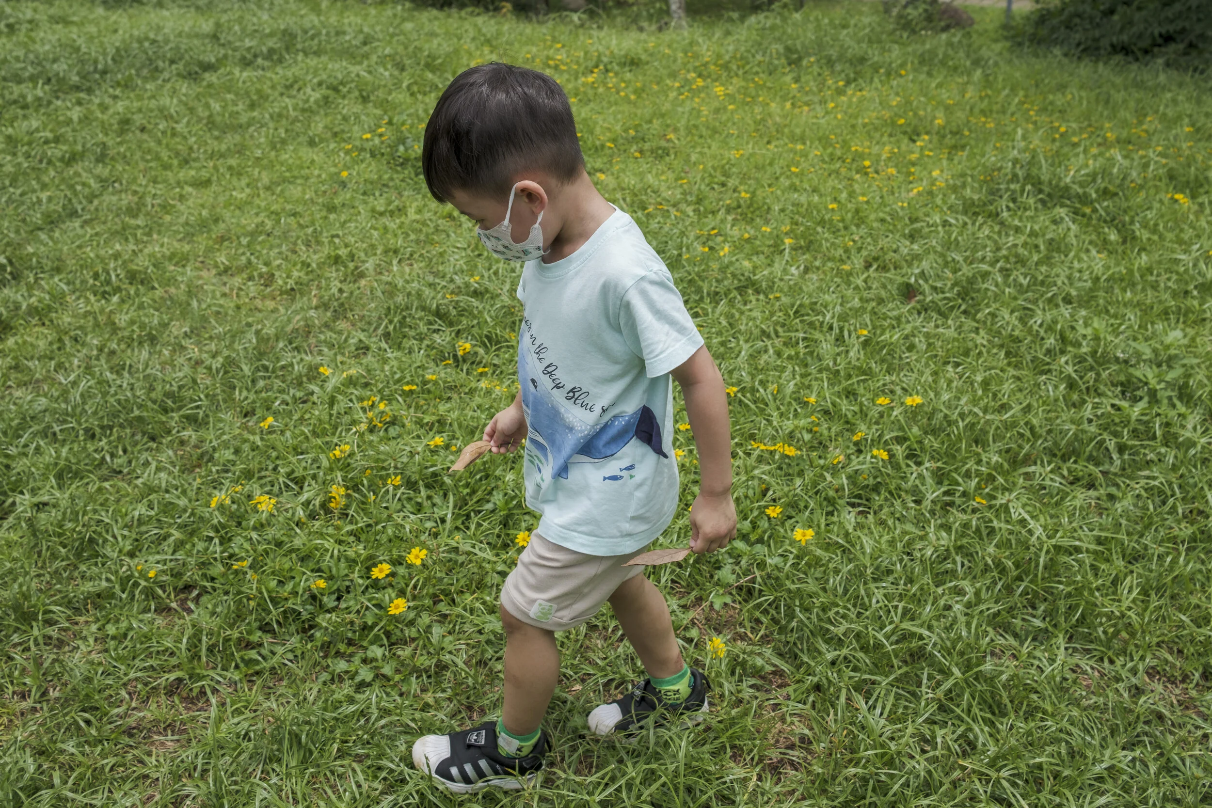 Visiting Butterflies