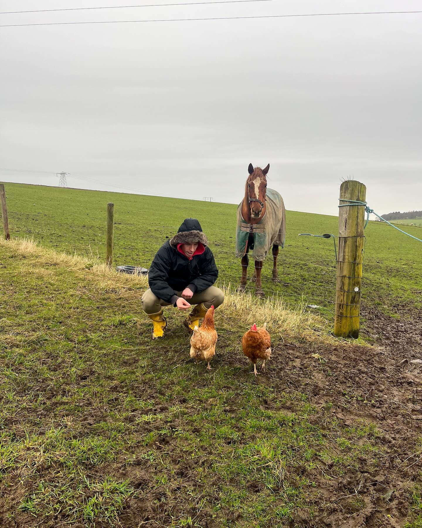 Farm life 🐴🐔👨&zwj;🌾