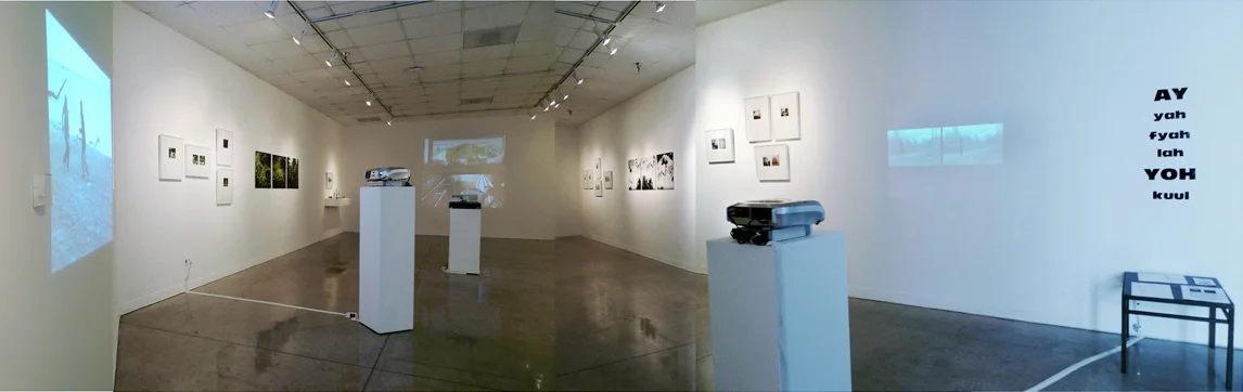 Installation view, Ay Yah Fyah Lah Yoh Kuul, Lionel Rombach Gallery, Tucson, AZ (photographs C.Caro, Video E. High)