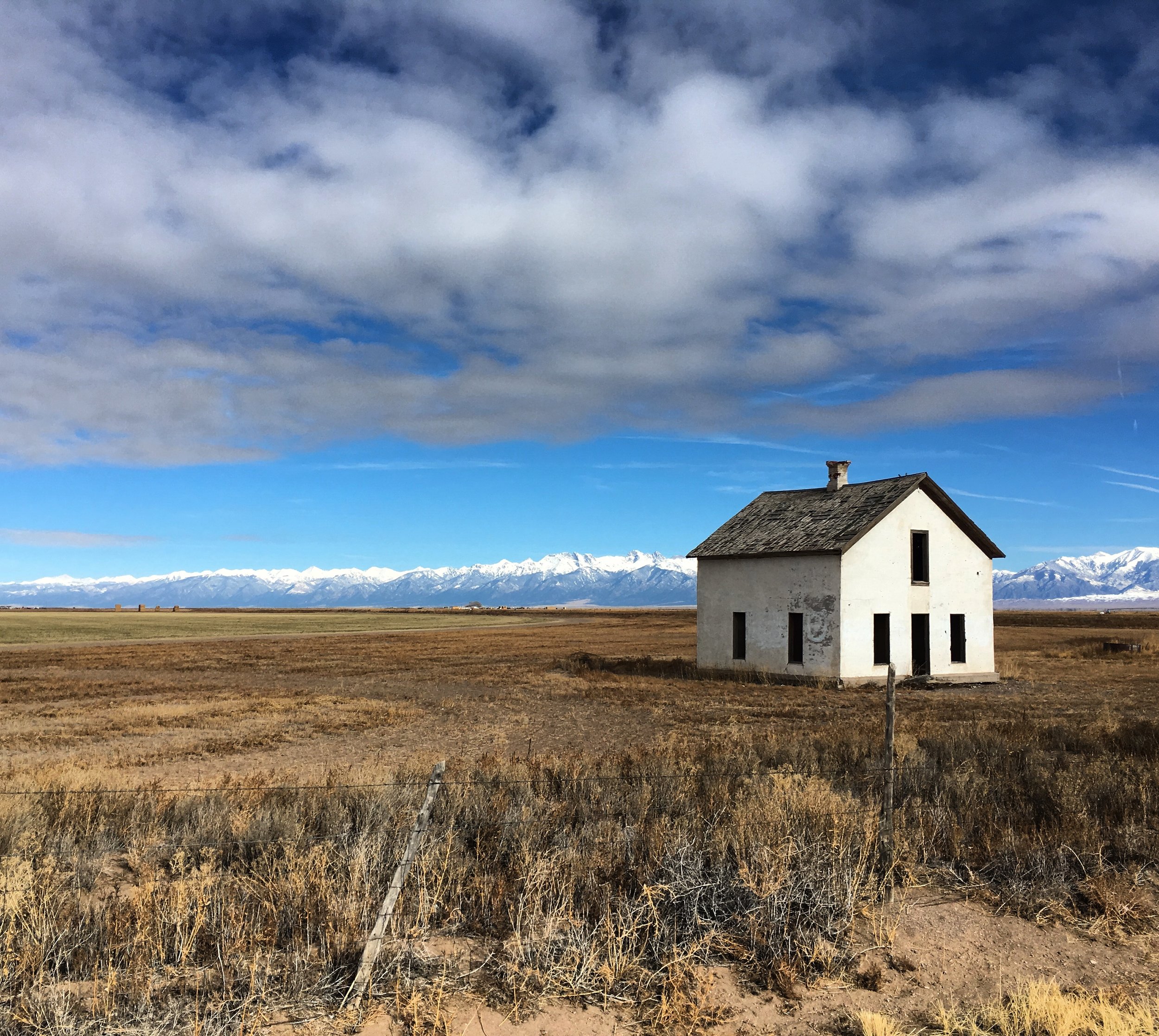Seen on my bike ride to the sand dunes