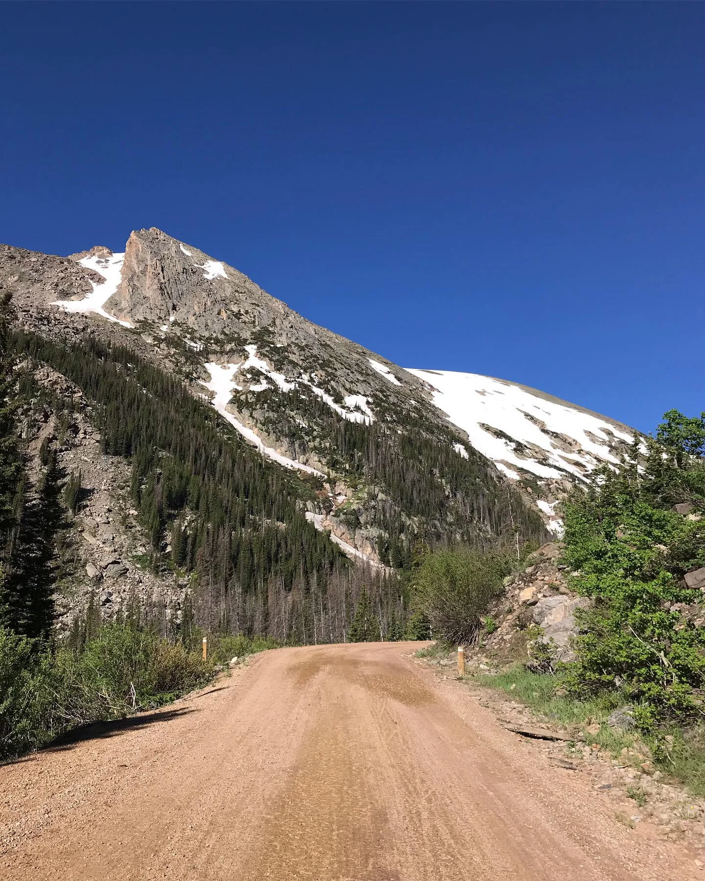 Old Fall River Road — before cars are allowed on for the season
