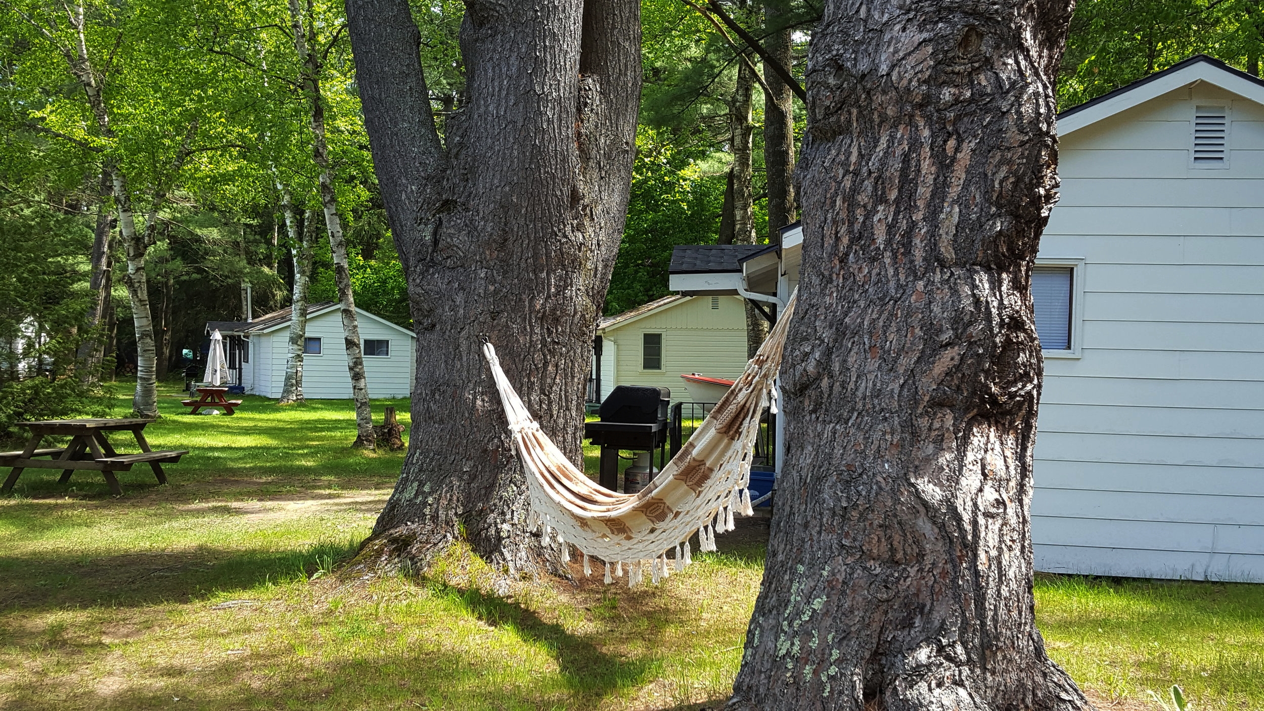 Hammock