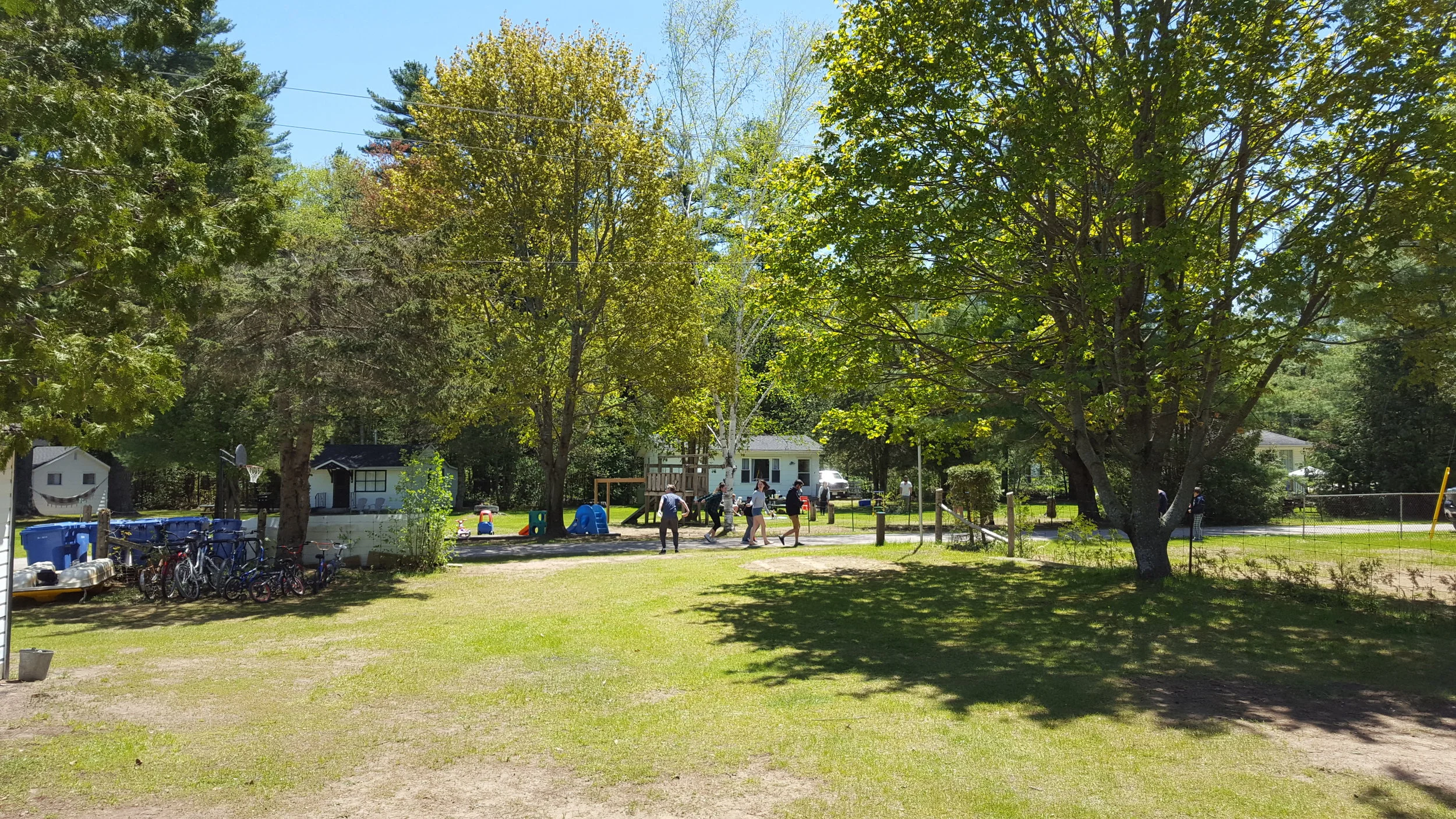 20170520_125231.jpg