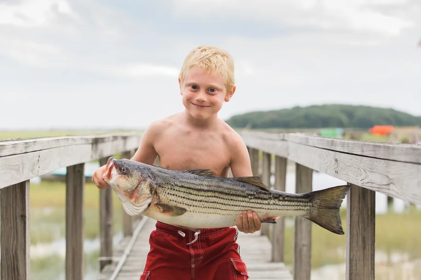 Bobber Down Fish Tales 04.jpg