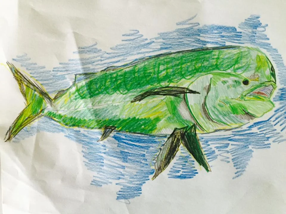 Mahi Mahi by Aidan! If you can't catch one, draw one!