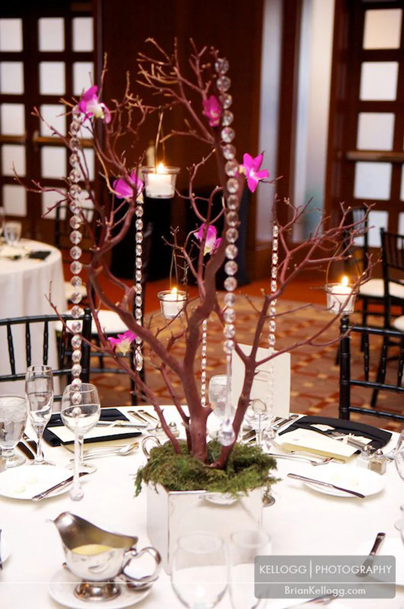 The Blackwell OSU Wedding