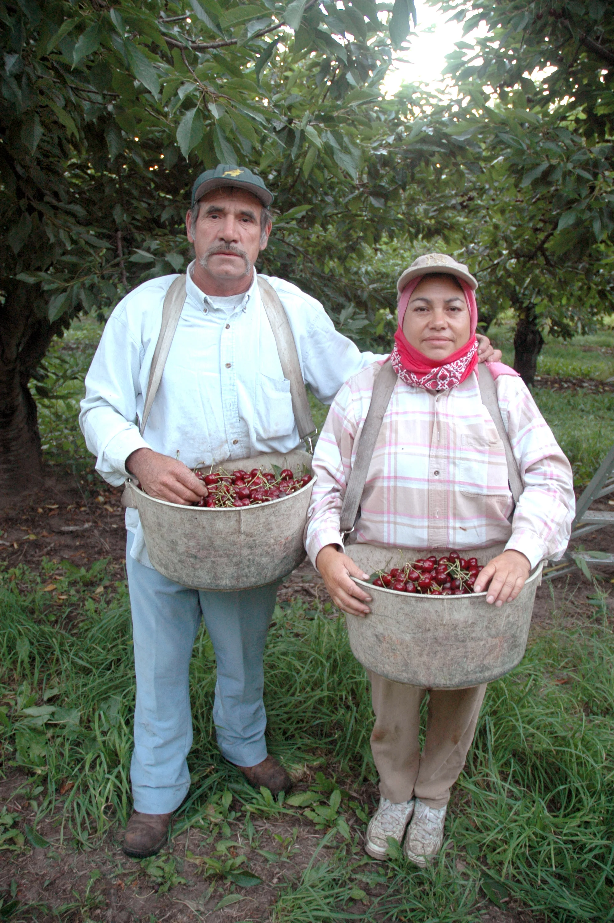 José and María are migrant workers who have come to work in the same cherry orchard every summer for decades. Oregon, USA