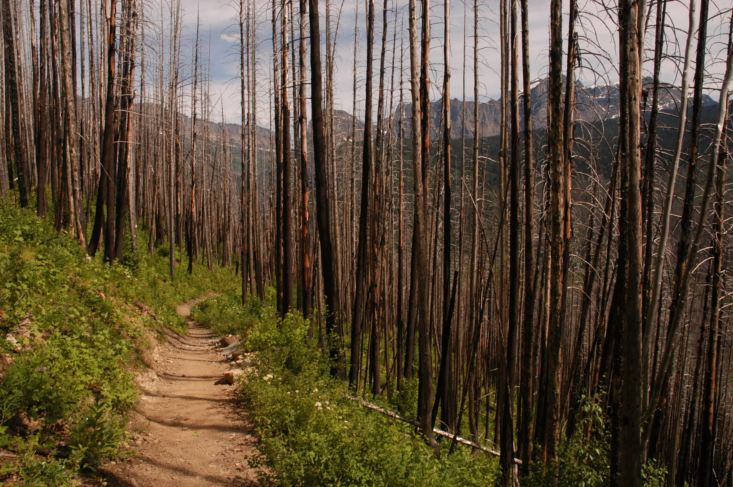 Glacier National Park, USA