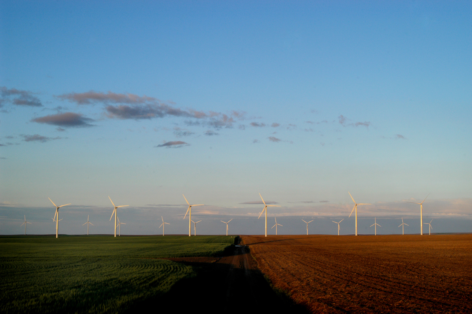 Klondike Windfarm, Oregon, USA