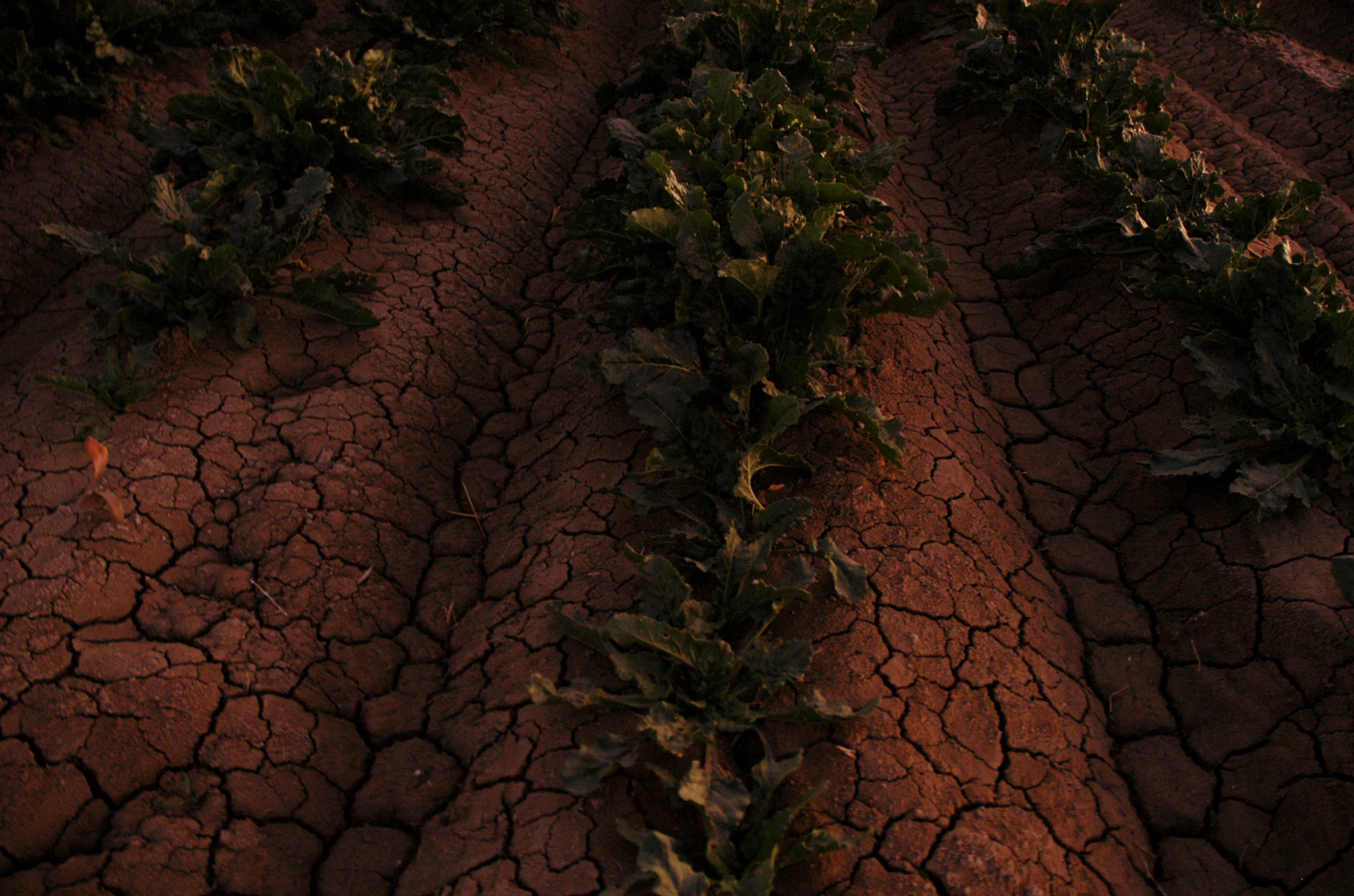 landscapes_0054.jpg