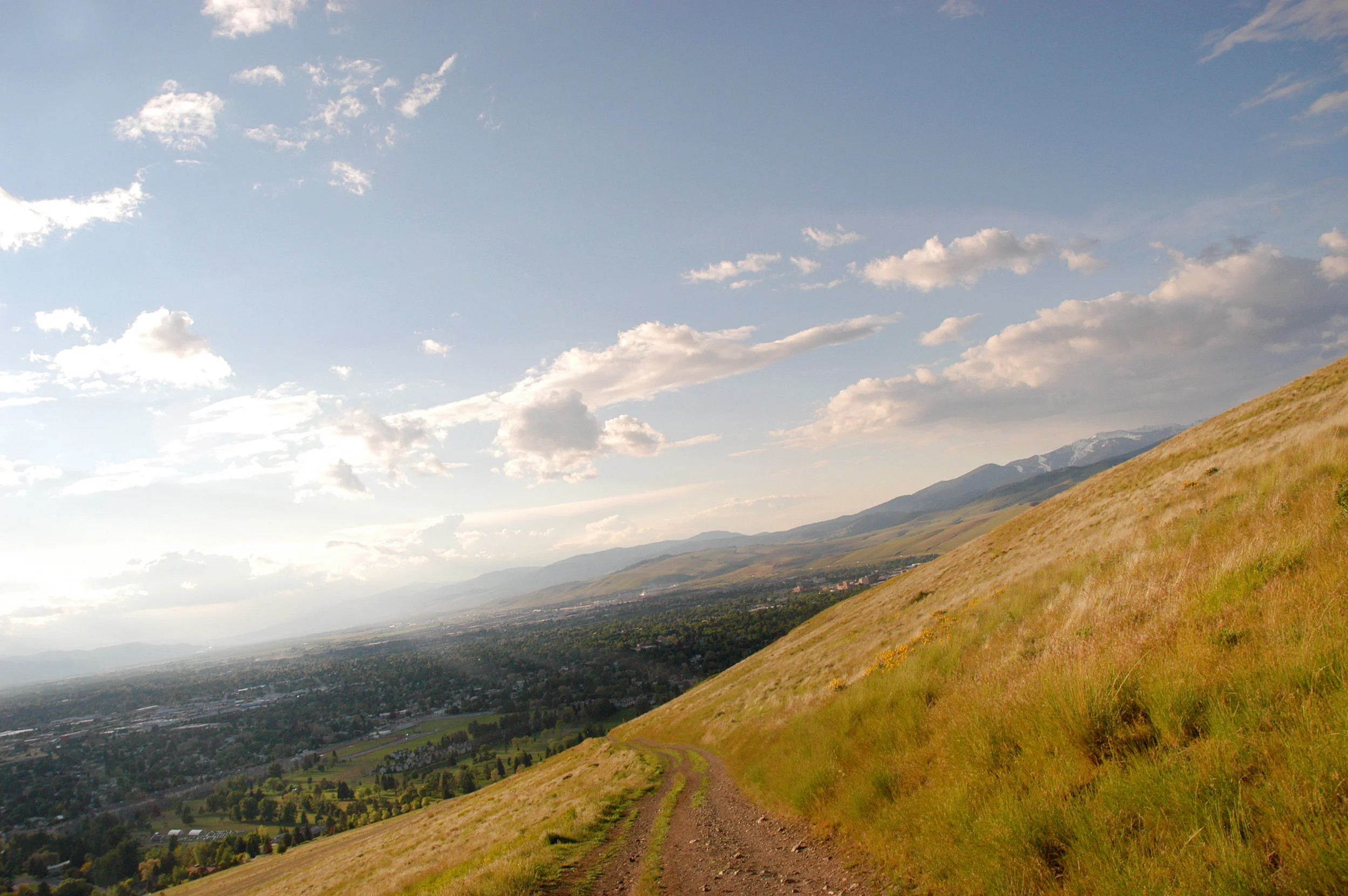 missoula 11 by 17.jpg
