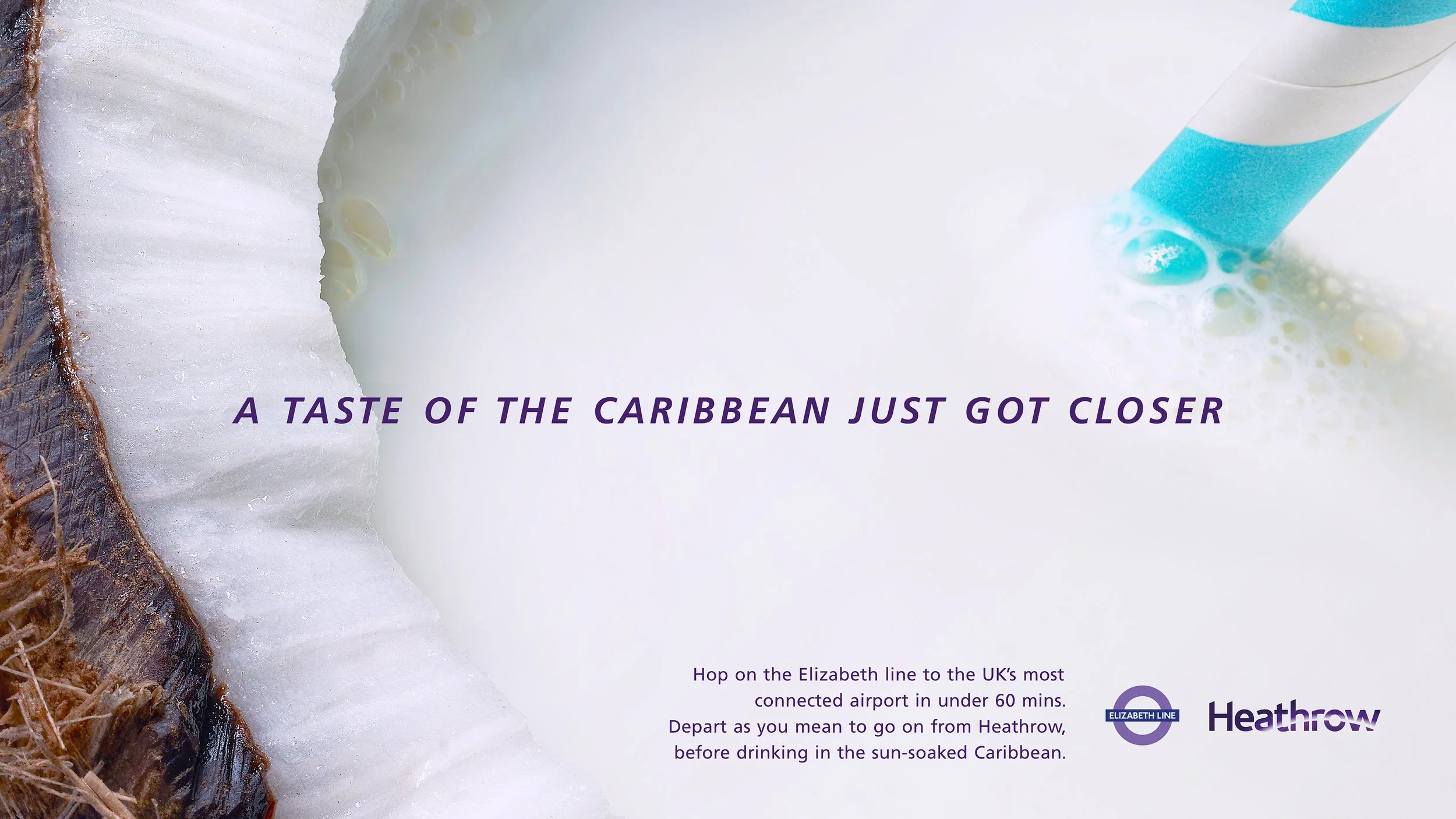 3 Elizabeth Line - Coconut.jpg