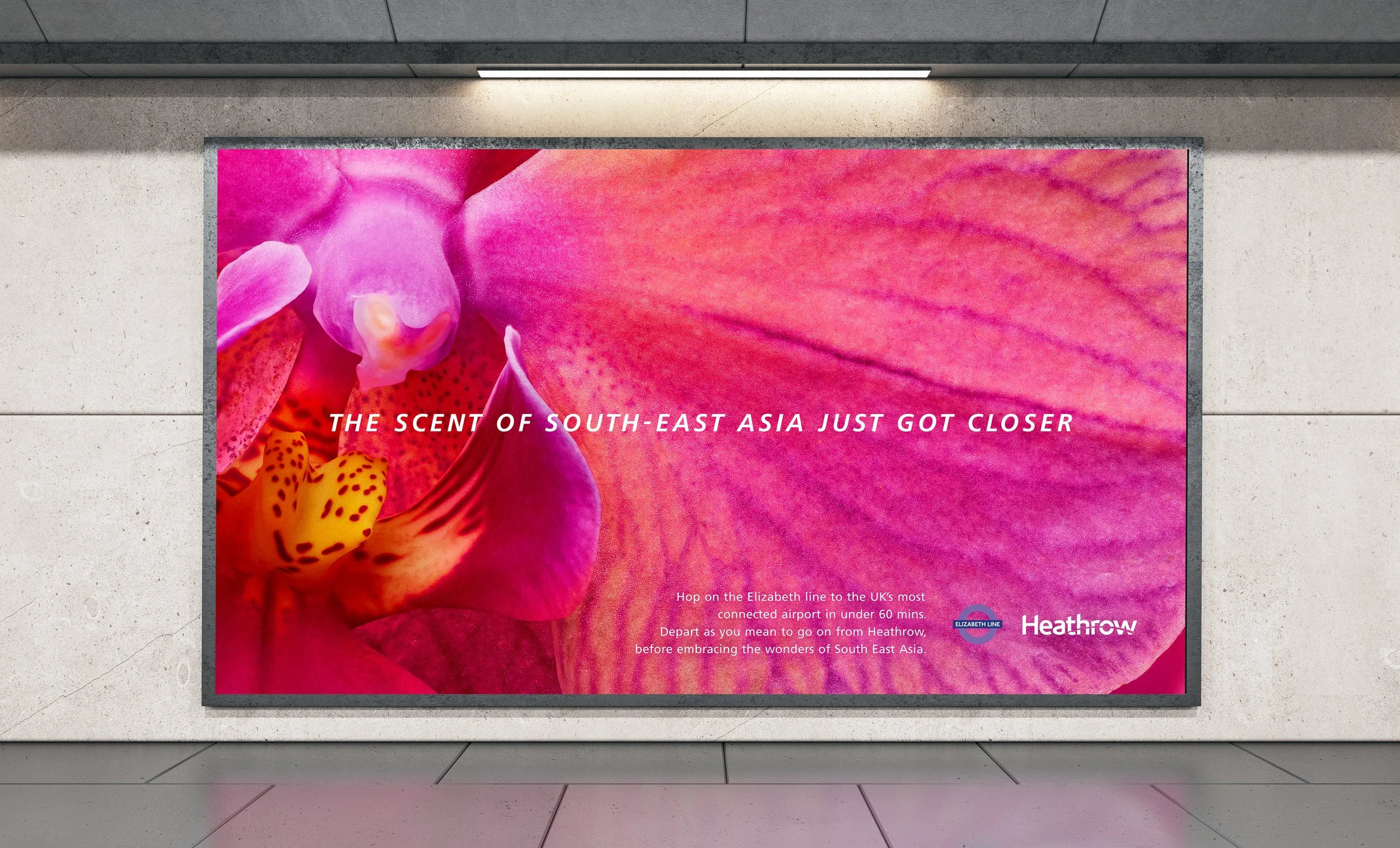 CLOSER IN-SITU.jpg