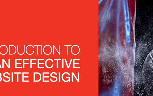 Screen Shot 2021-01-31 at 1.20.22 PM.png