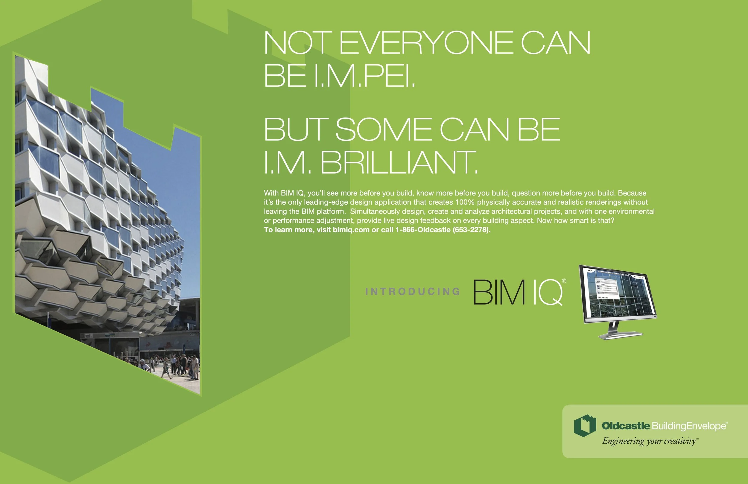 BMIQ 3.jpg