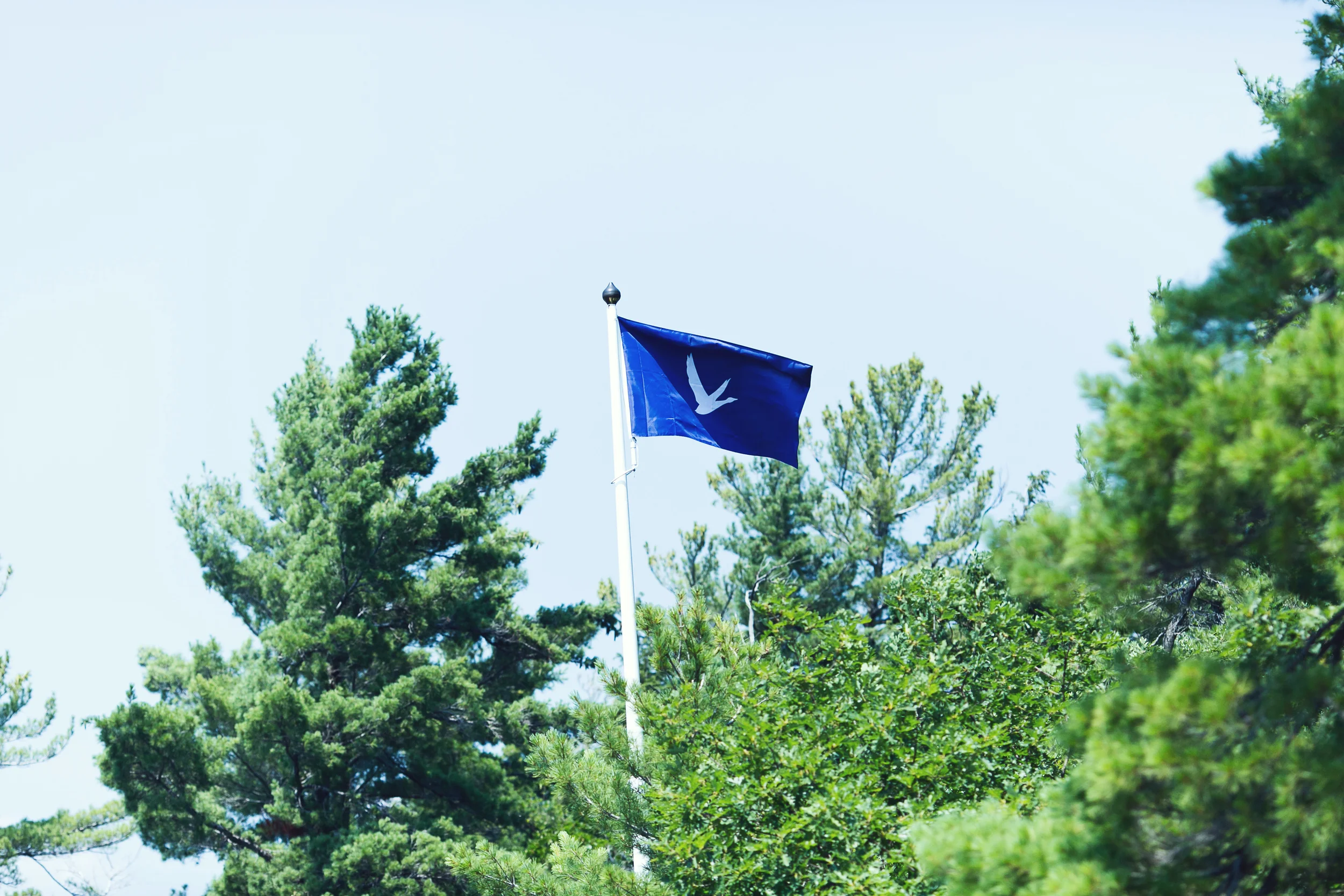 Grey Goose VX Launch
