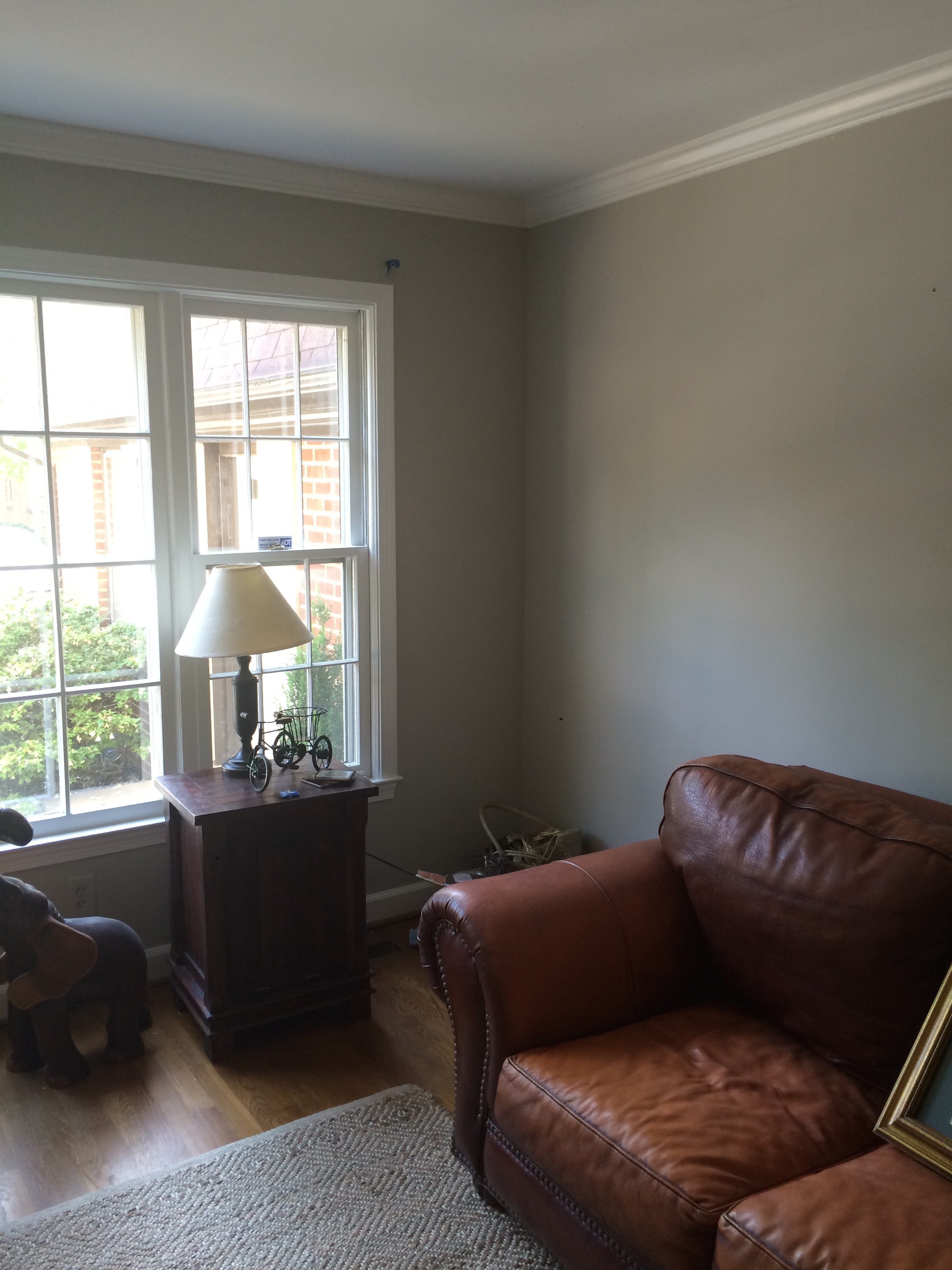 BEFORE PICTURE