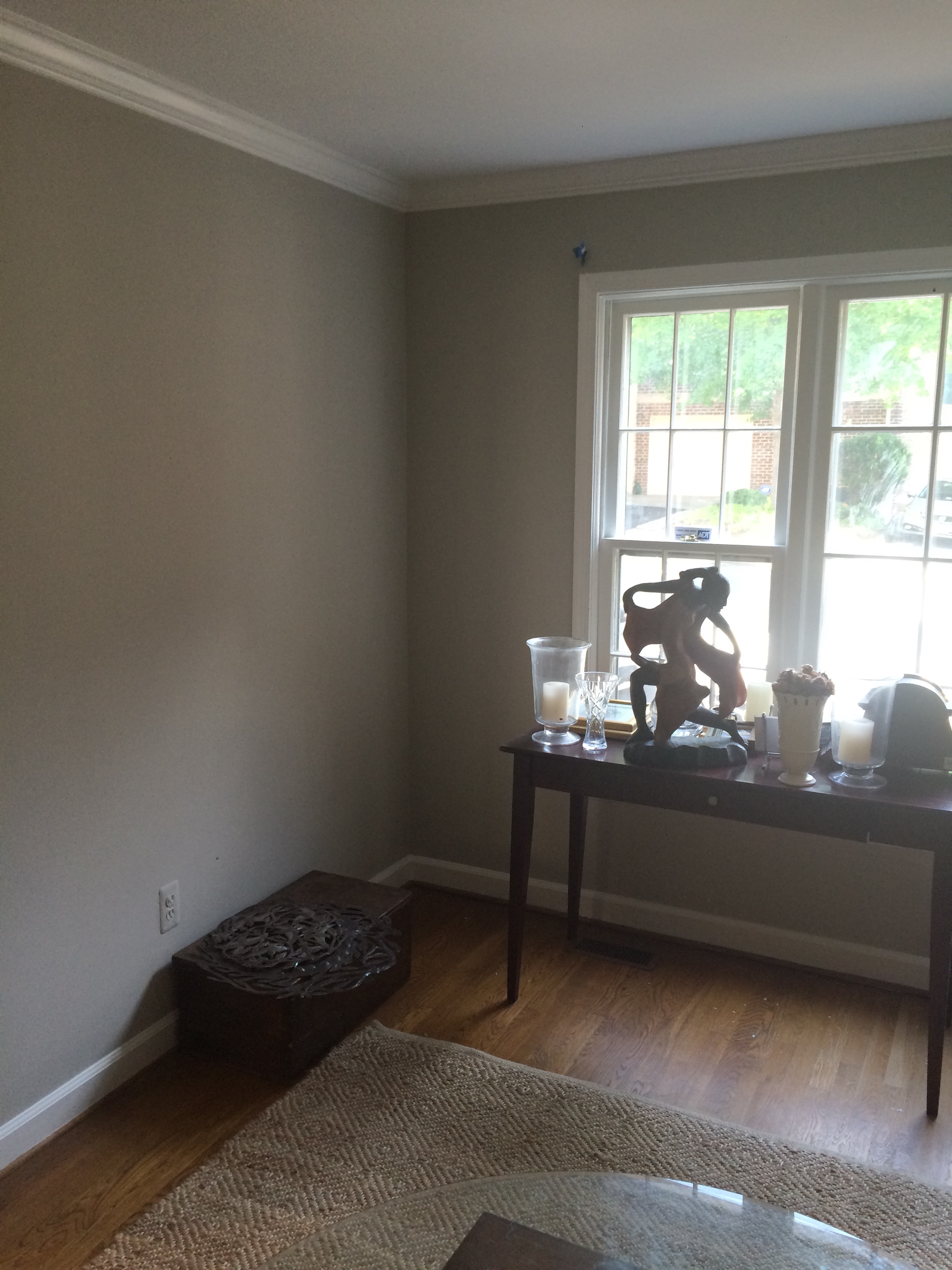 BEFORE PICTURE