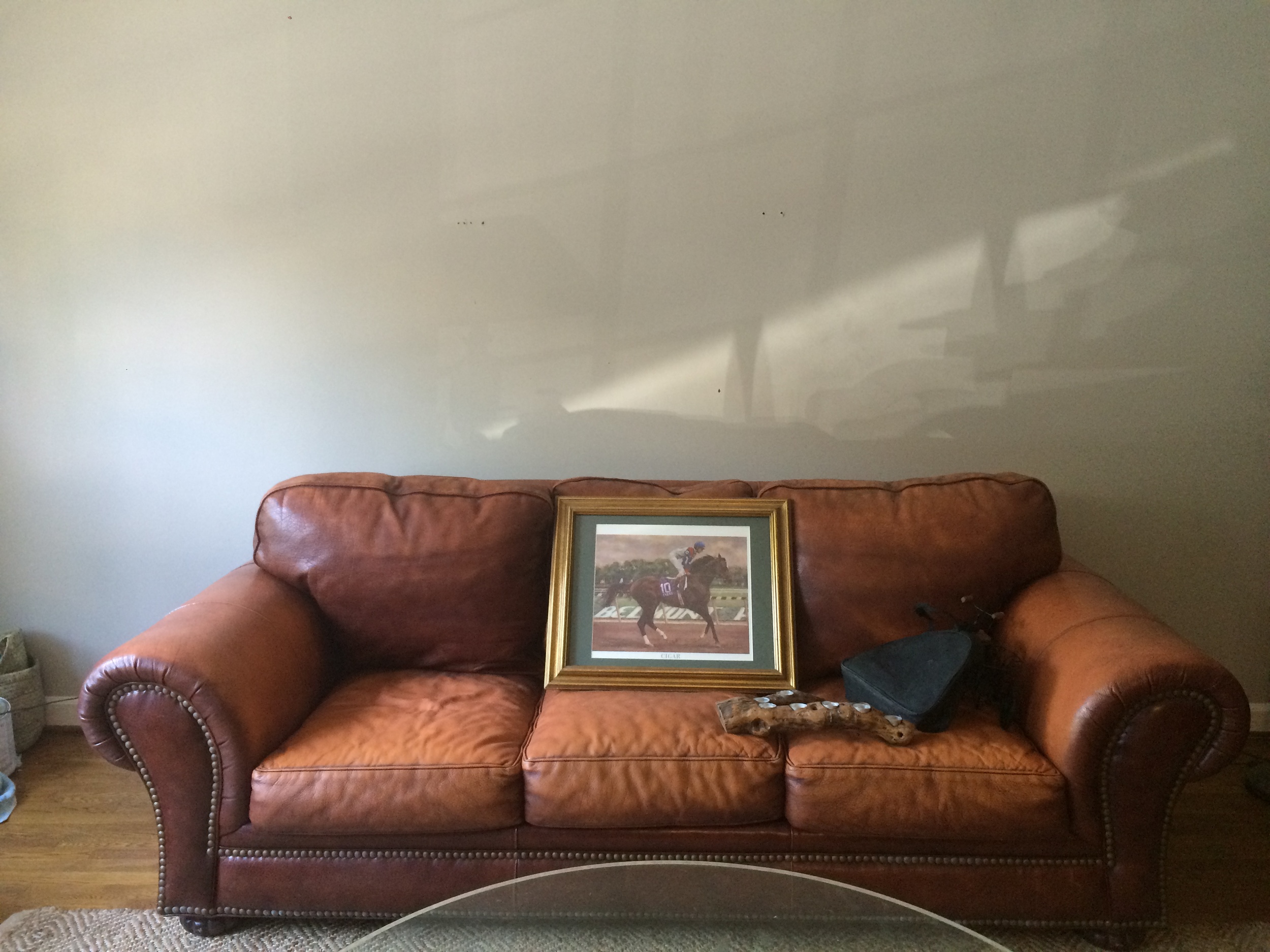 BEFORE PICTURE