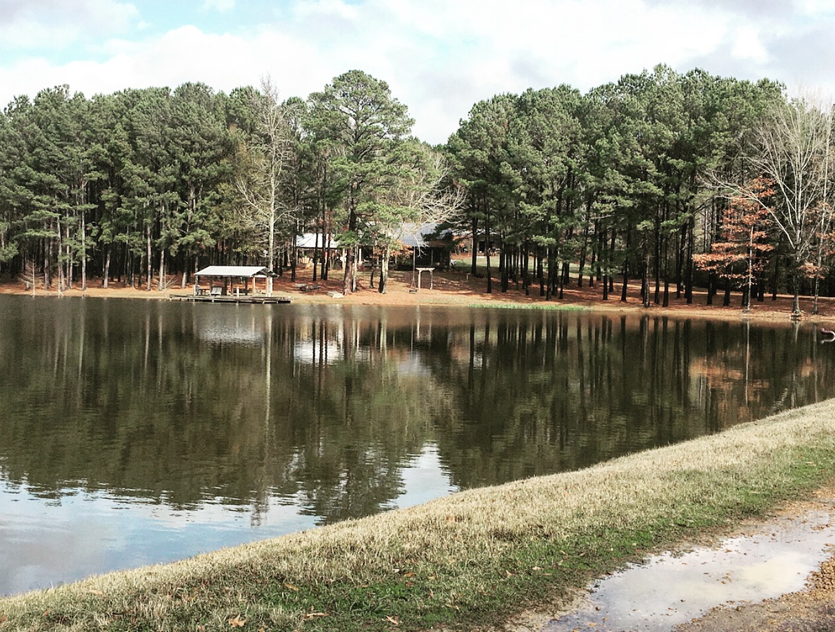 View of the cabin from the entrance of our land in Thomastown, Mississippi. 