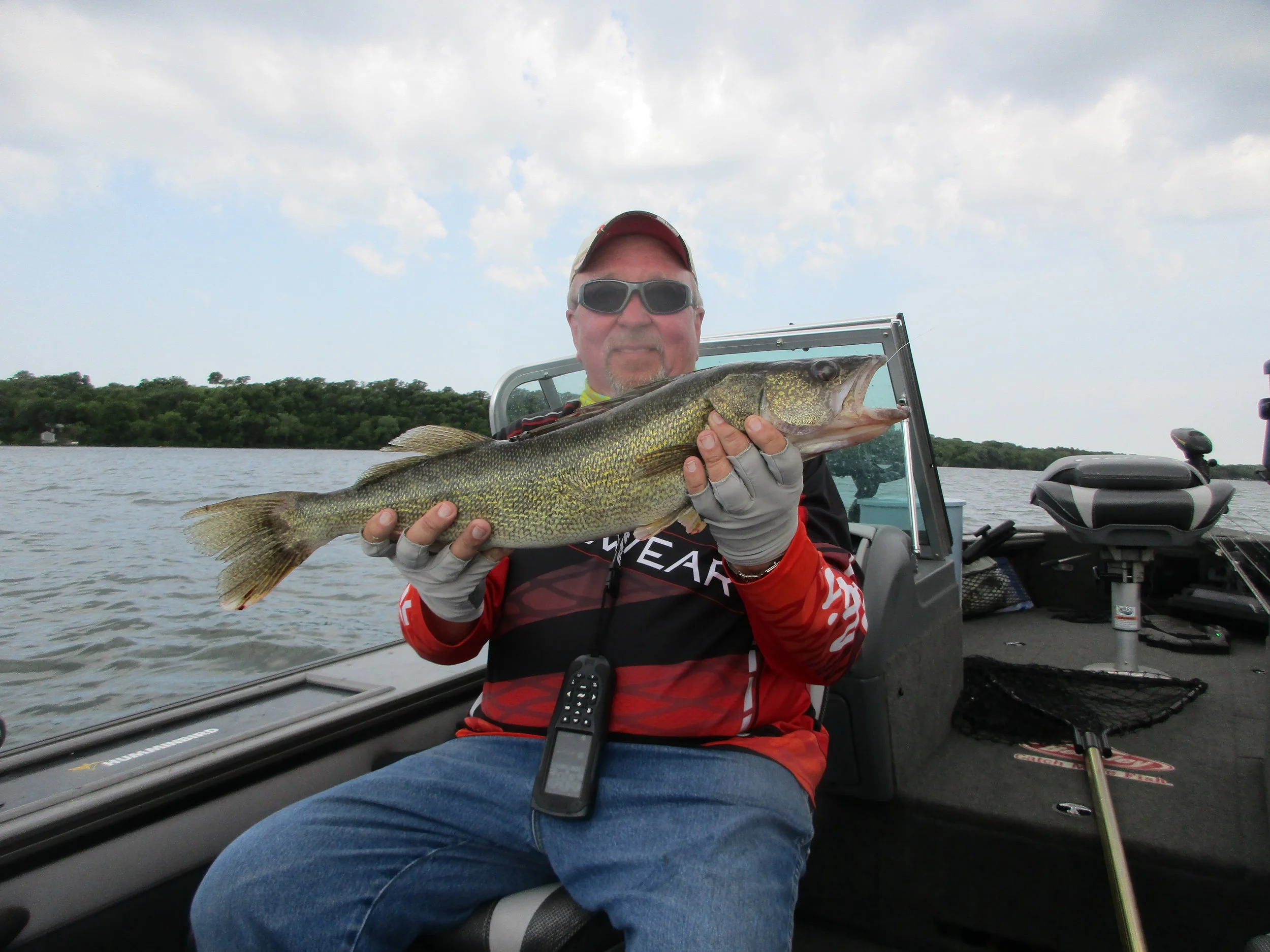 26" walleye over the weeds using crawlers and planer boards.