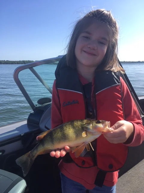 11” perch released