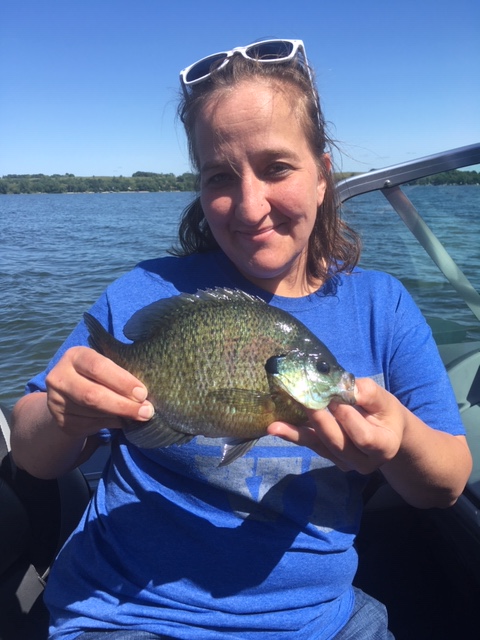 10” bluegill released!
