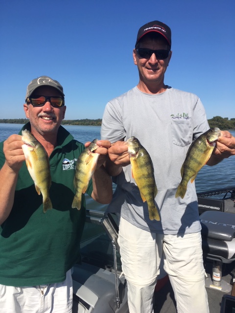 Tom and Dave Perch.jpg