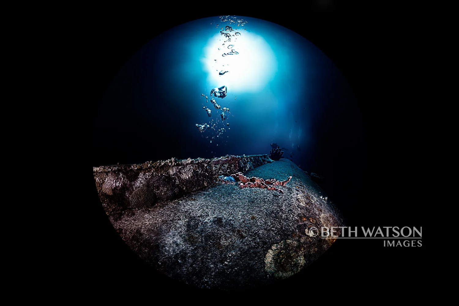 Into the Light