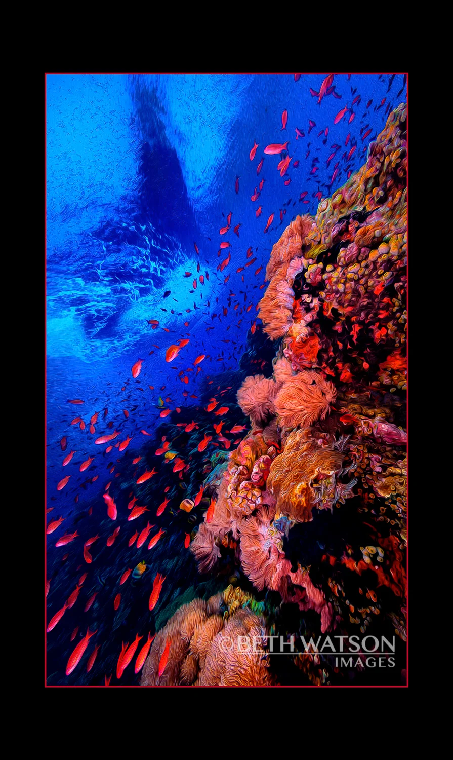 Verde Island Magic