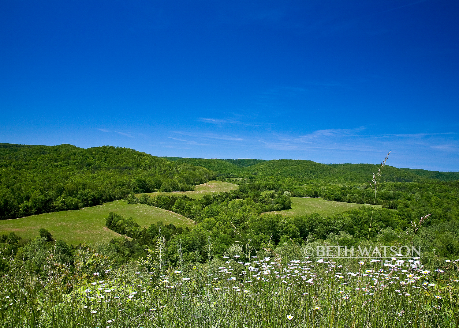 Devil's Backbone