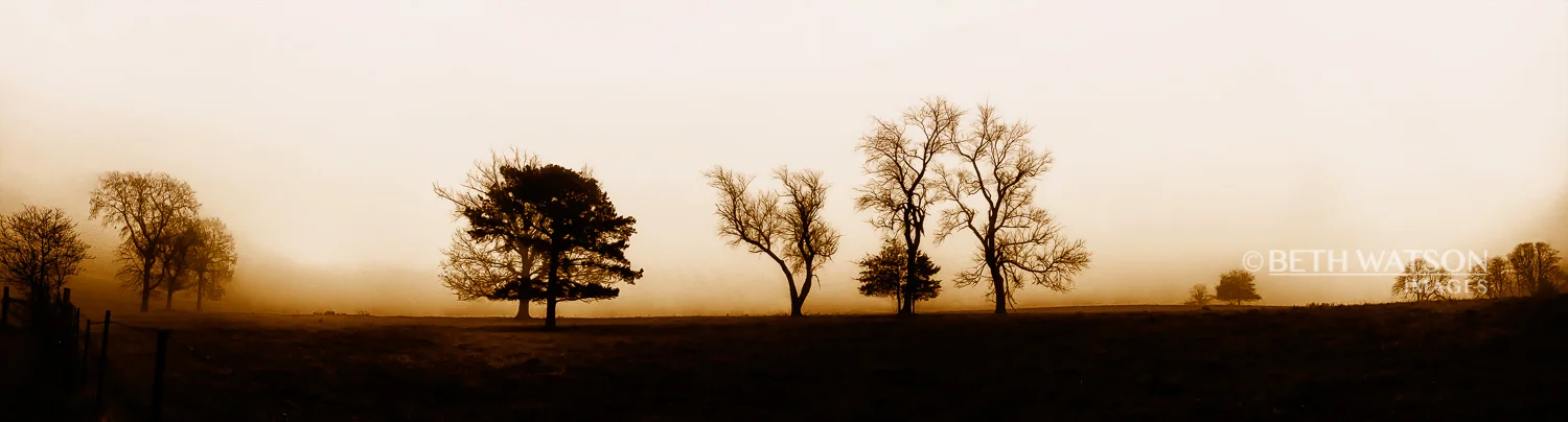 Fog