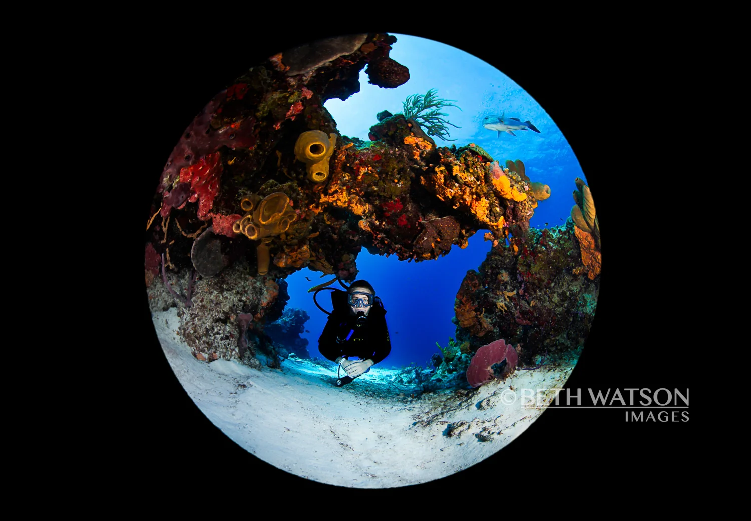 Tormentos Reef