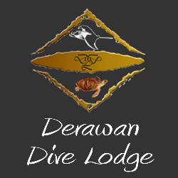 Derawan Dive Lodge | Indonesia 