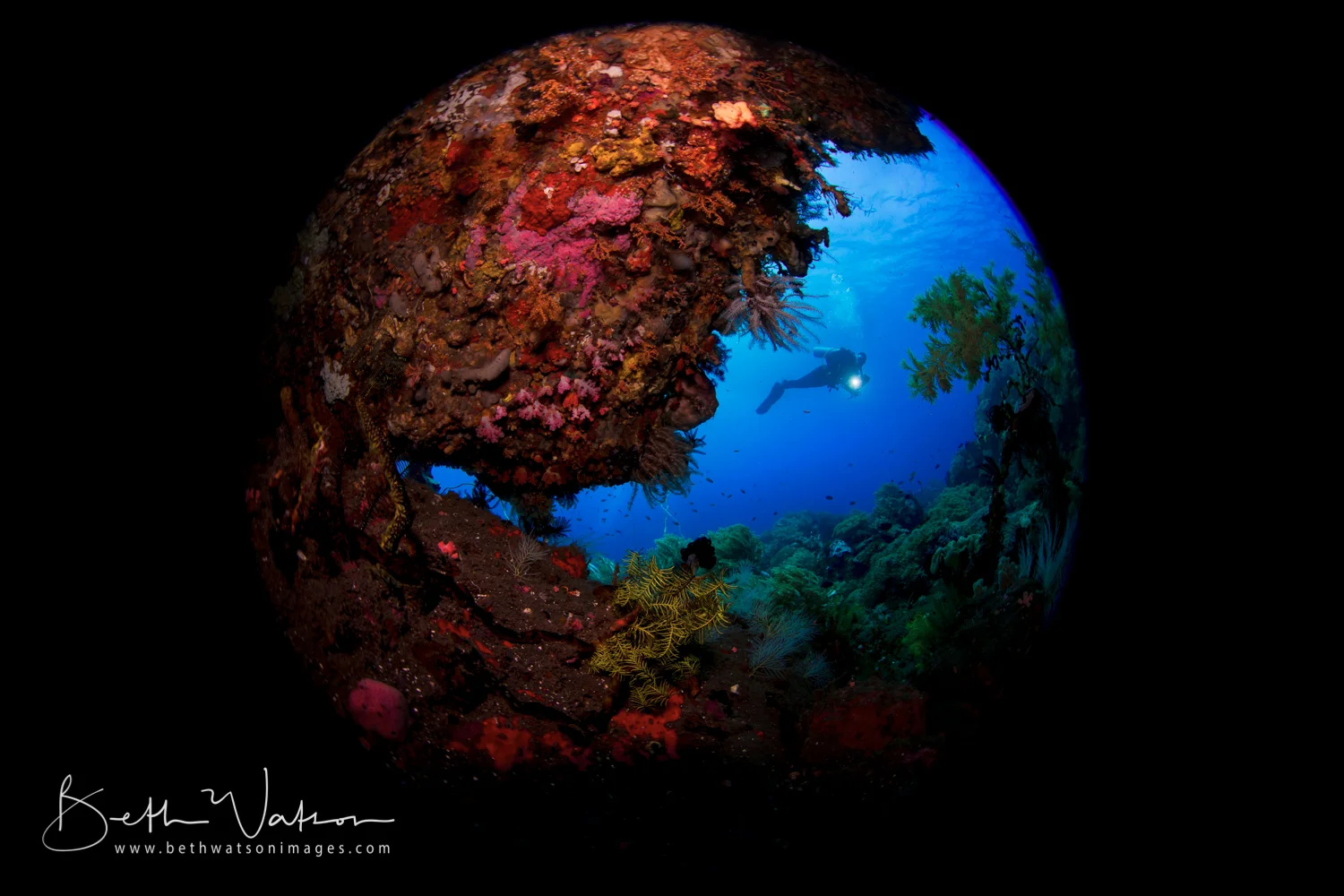 Komodo_1000-2053.jpg