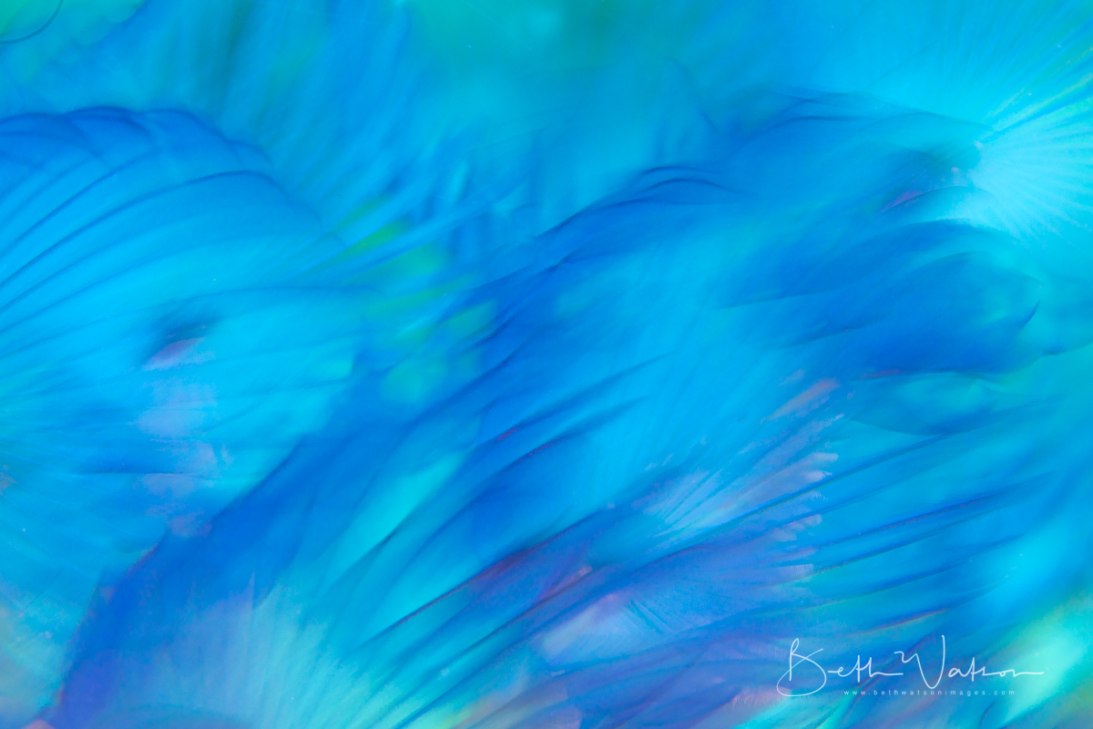 PG_17_-2101-Edit.jpg