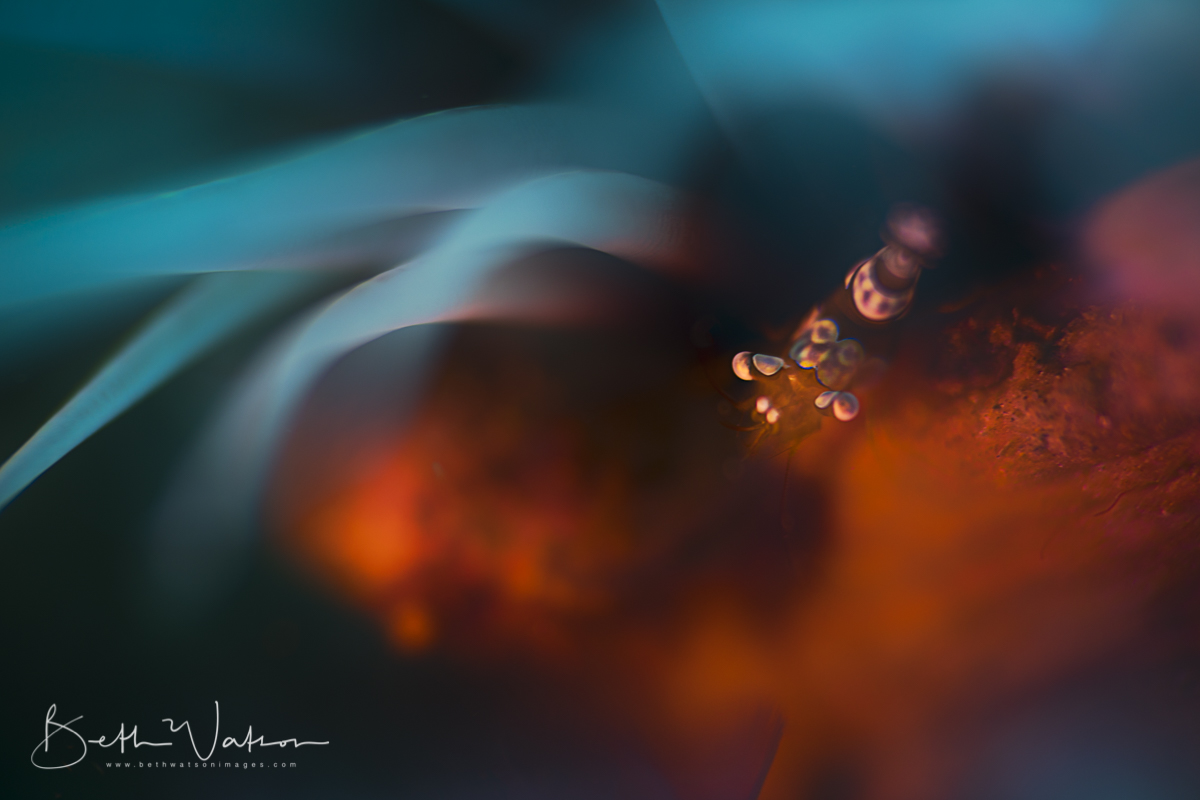 Fire and Ice