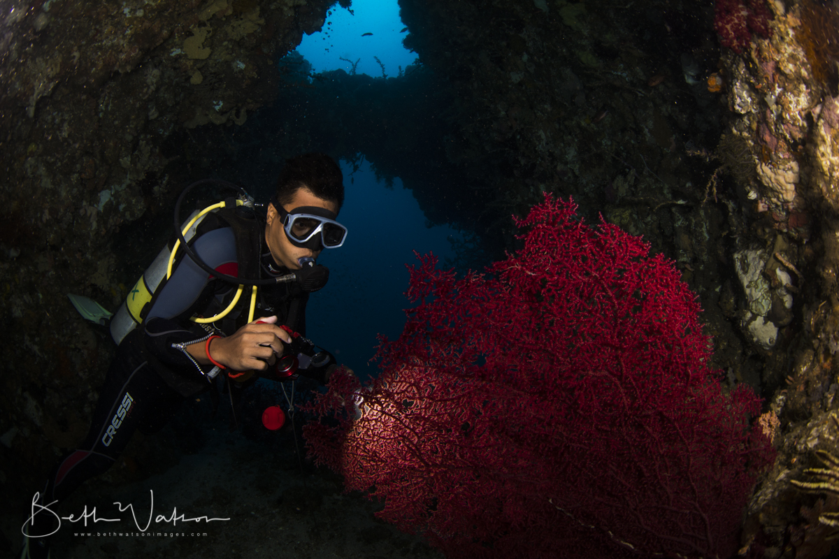 Diver ~ Angel's Window