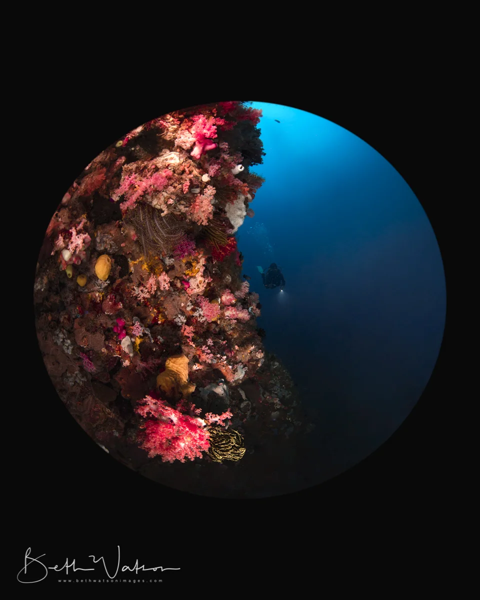Lembeh_Wide Angle