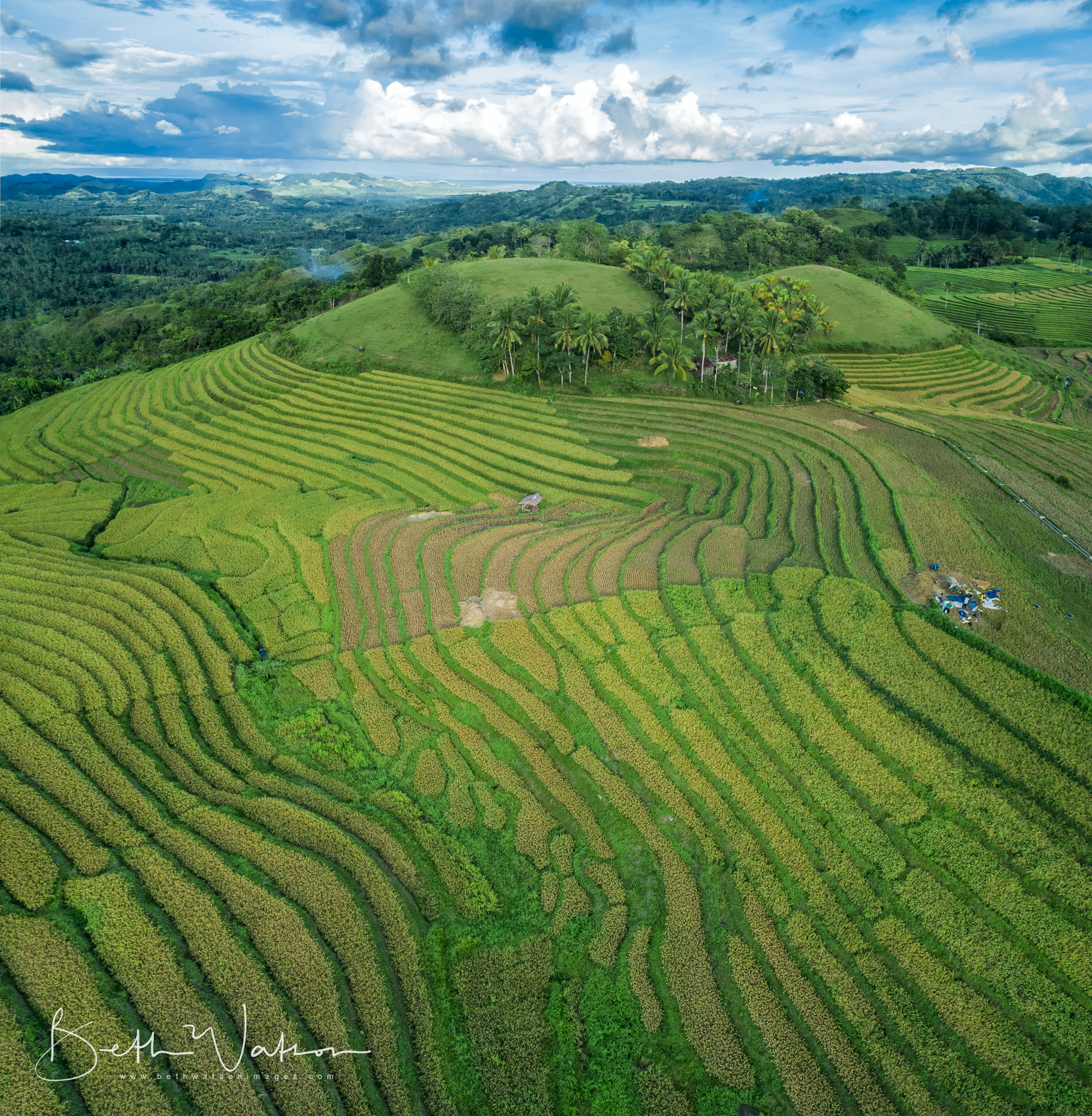 Bohol-4002